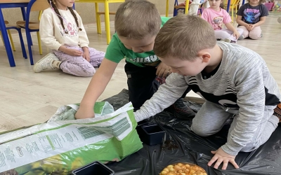 Cztery żywioły w naszej zerówce!